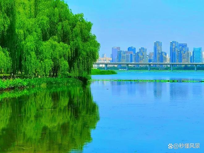 武汉最可惜的湖泊20年面积缩减了90%曾是市内第二大城中湖！